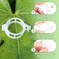 🥳2026 HOT SALE🥳💞50K+ SOLD!✨ 💝Secured Plastic Plant Clips