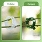 🥳2026 HOT SALE🥳💞50K+ SOLD!✨ 💝Secured Plastic Plant Clips