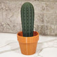 3D Simulation Cactus Bonsai Toothpick Case