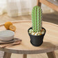 3D Simulation Cactus Bonsai Toothpick Case