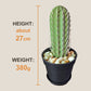 3D Simulation Cactus Bonsai Toothpick Case