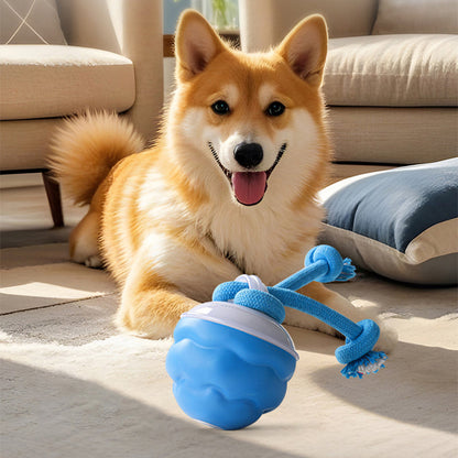🎄Christmas Sale 50% OFF🔥Interactive Electronic Pet Soothing Toy Ball