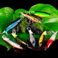 🎣 LIMITED-TIME 50% OFF! ✨ Propeller Floating Lure – Rotating Tail, 3D Eyes, Dual-Section 🐟