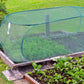 ⏳Limited-time 50% off⏰Pop-Up Plant Protection Mesh Cover🌱🛡️