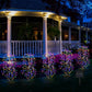 🎁2026 New Arrivals 50% OFF💥Solar Garden Lights Outdoor Decor – 100 LEDs, IP55 Waterproof, Easy Install 🌙