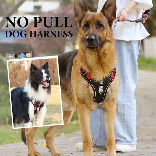 🐶 No Pull Dog Harness With Leash & Collar LED - Walks Just Got Easier ✨