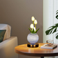🌷 50% OFF NOW! 💡 Elegant Tulip Bouquet Night Light – Soft glow, realistic & USB-powered – Perfect for bedroom, nursery & cozy corners ✨