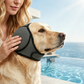 📢📢BUY 1 GET 1 FREE !! ⏰ Waterproof Dog Hoodie – Calming fit & weather‑ready ✨