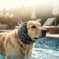 📢📢BUY 1 GET 1 FREE !! ⏰ Waterproof Dog Hoodie – Calming fit & weather‑ready ✨