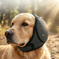 📢📢BUY 1 GET 1 FREE !! ⏰ Waterproof Dog Hoodie – Calming fit & weather‑ready ✨
