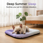 🏆LAST DAY SALE 50% OFF🔥Cooling Gel Mat for Pets