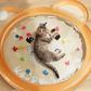 📢📢40% OFF !! ⏰Non-Slip Cooling Splash Pet Mat