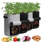 📢📢40% OFF !! ⏰Thickened Grow Bag with Handle