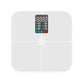 📢📢50% OFF !!⏰Precision Body Fat Scale