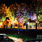 📢📢40% OFF !!⏰💡 Ring-Shaped Solar Tree Lights – Weatherproof Outdoor Spotlights Ideal for Trees, Pillars, and Gardens
