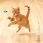 📢📢50% OFF !!⏰Fun Interactive Suction Cup Cat Wand Toy
