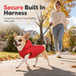 🐕 Save 50%! 🧥 Hooded Dog Coat – Fleece‑lined, windproof & built‑in harness ✨