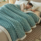 Flannel Warm Thick Blanket