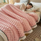 Flannel Warm Thick Blanket