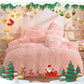 Winter Warm Plush Bedding 4-Piece Set